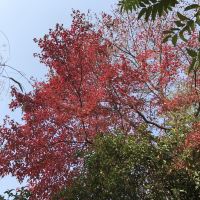 評論圖片 6