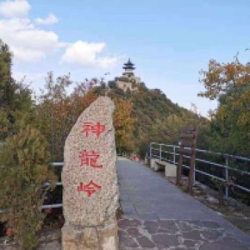 評論圖片 2