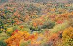 Beigong National Forest Park