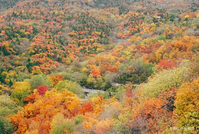 Beigong National Forest Park