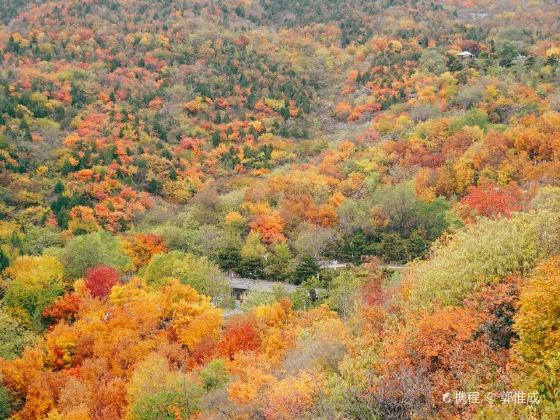 Beigong National Forest Park