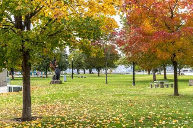 12 Best Things to do in Vancouver Downtown