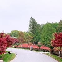評論圖片 7