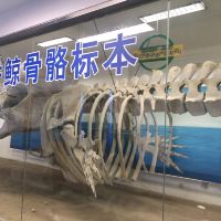 評論圖片 4