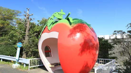 Fruits Bus Stop