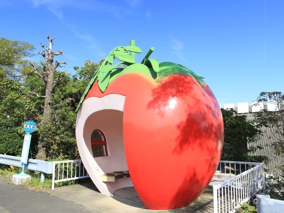 Fruits Bus Stop