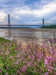 The Yellow River Bridge