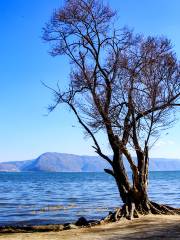 Haishe Ecological Park