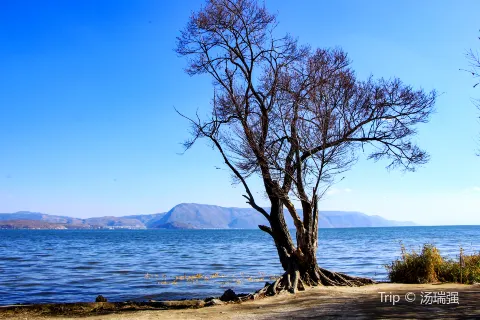 Haishe Ecological Park