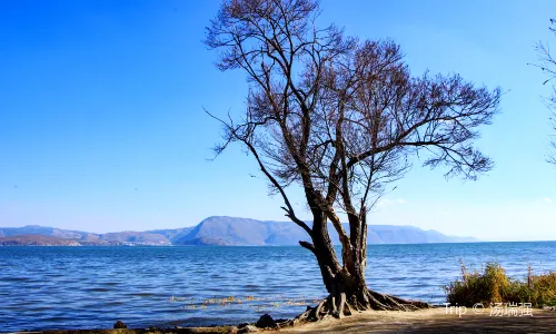 Haishe Ecological Park