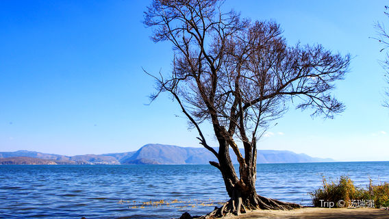 Haishe Ecological Park