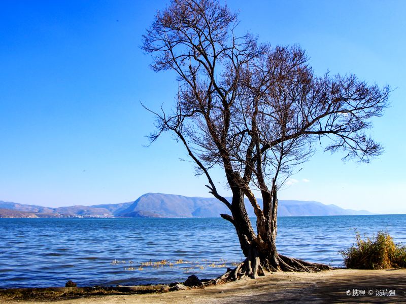 Haishe Ecological Park