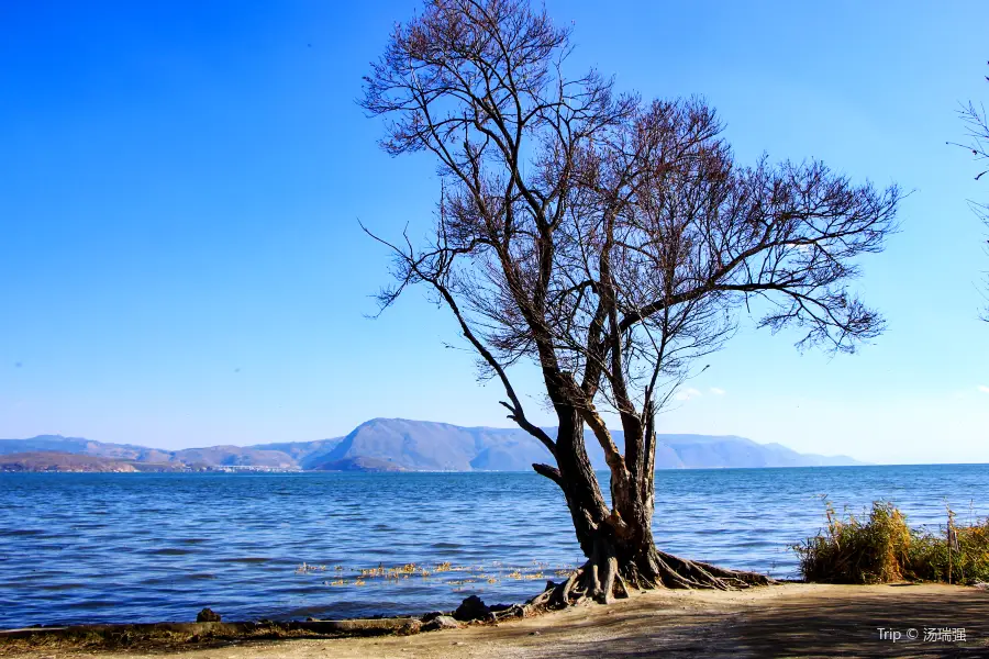 Haishe Ecological Park