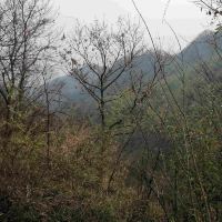評論圖片 4