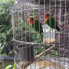 秦云老太婆摊摊面(全国总店) User Photo