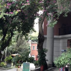 Baiwenxiongzhong Restaurant User Photo