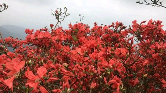 从化通天蜡烛山烛耸立于湖畔，峰影倒映湖中，湖光山色，天然妙成