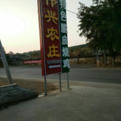 伟兴农庄·特色脆皮烧鸡 User Photo