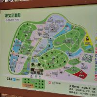 評論圖片 1