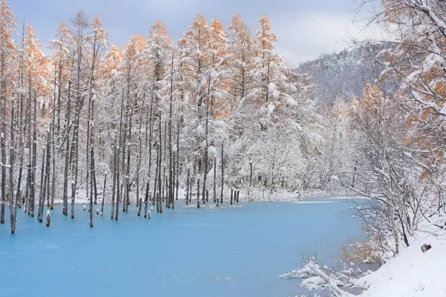 【北海道冬天自由行⛄】十大必到冬日限定北海道景點！