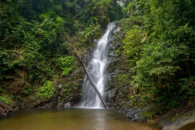 Top 10 Things To Do in Langkawi For a Short Getaway