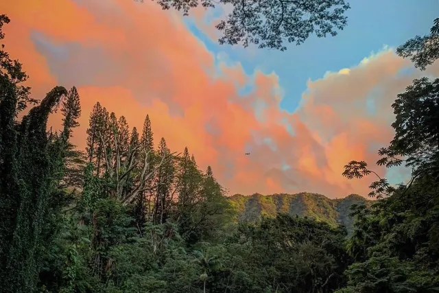 The Best Trail in Honolulu: Manoa Falls