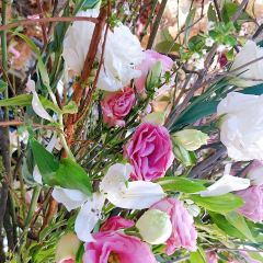 Peking Garden User Photo