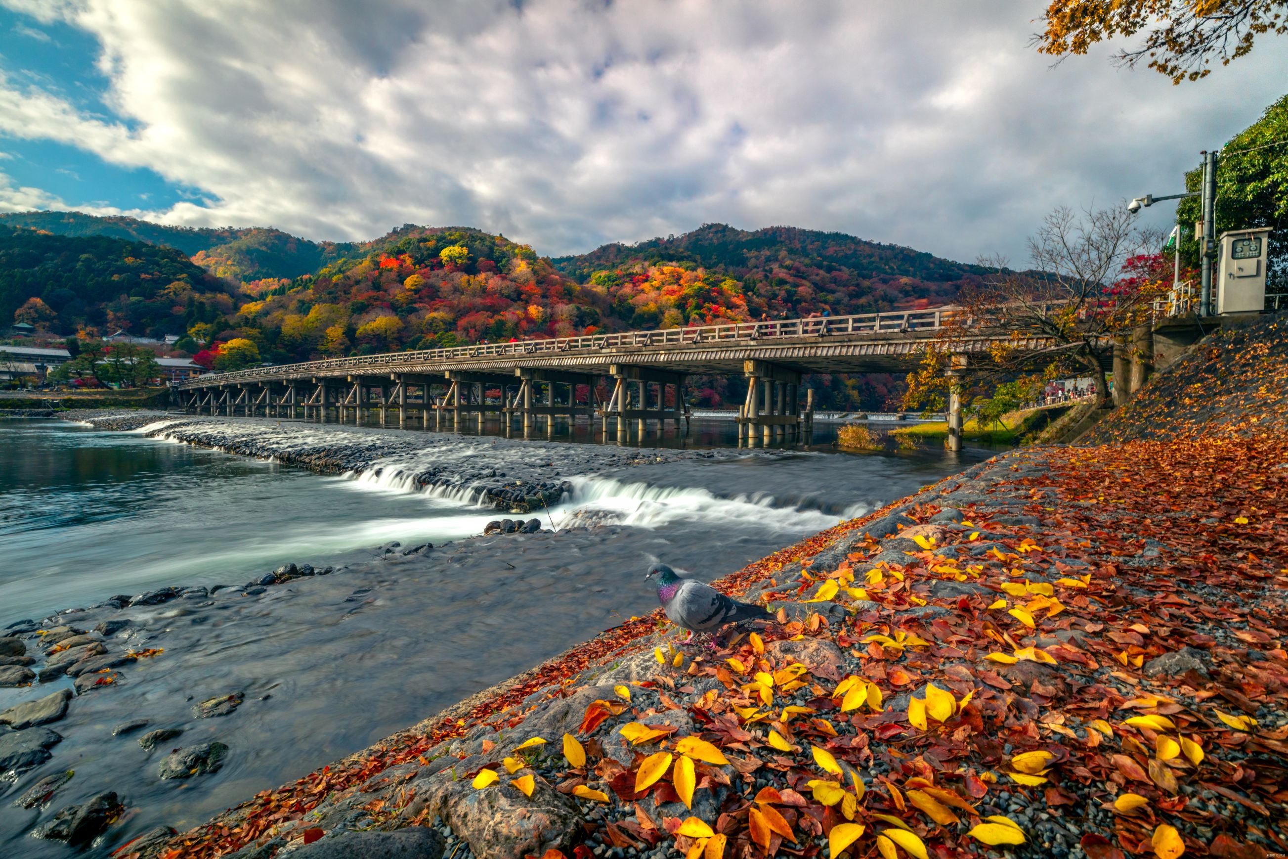 渡月橋