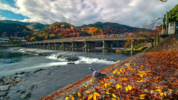 Togetsukyō Bridge
