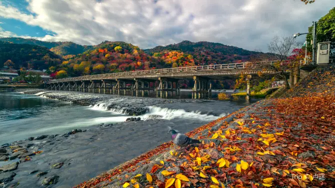4_渡月橋