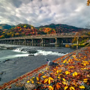 渡月橋