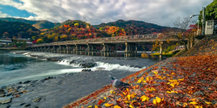 渡月橋