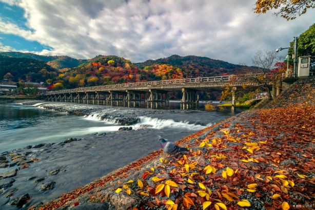 Togetsukyō Bridge