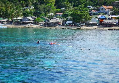 Apo Island