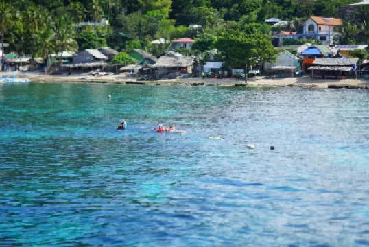 Apo Island