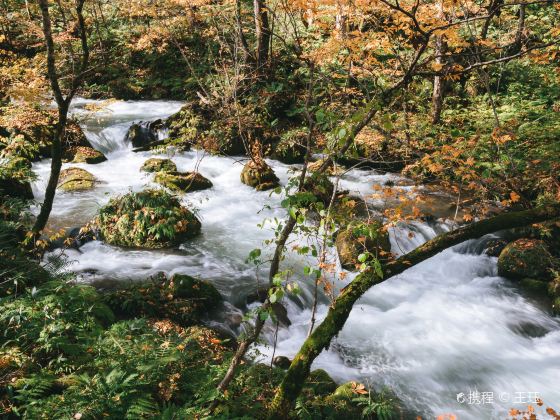 Oirase Gorge