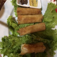 蔬月張用戶圖片