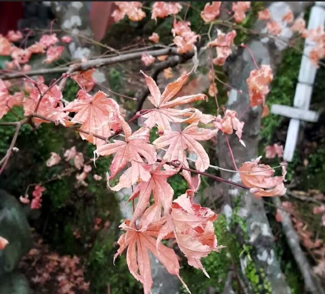 祐德稻荷神社
