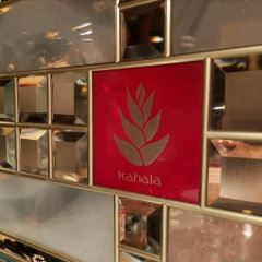 KAHALA張用戶圖片