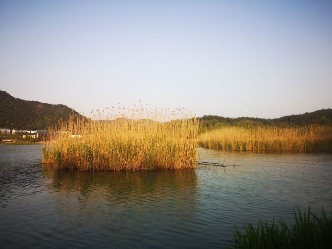 Dongqian Lake - Ningbo Travel Reviews｜Trip.com Travel Guide