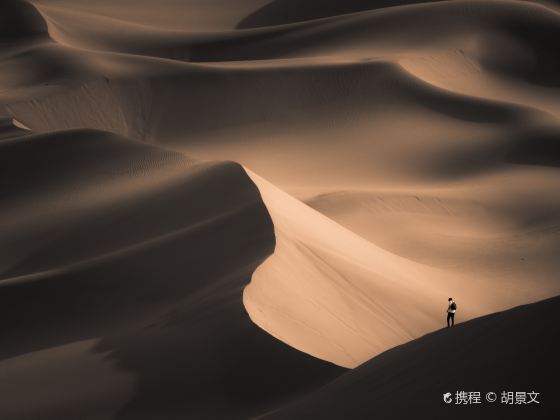 Kubuqi Desert