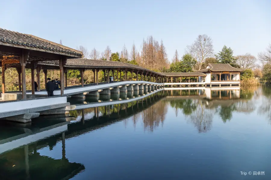 霽虹橋