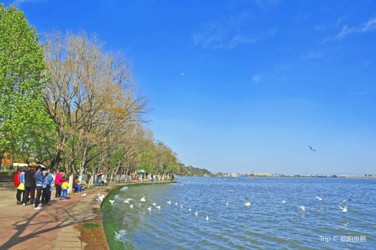昆明の天気をチェックして観光の準備をしよう