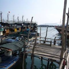 Nanhai Seafood Restaurant User Photo