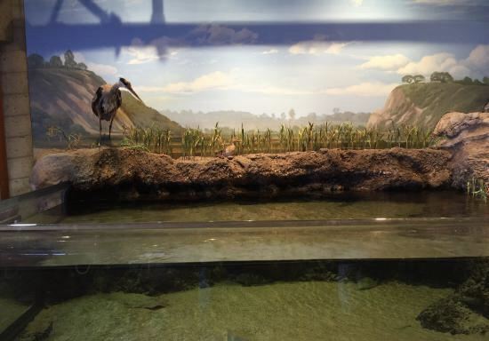 Peter & Mary Muth Interpretive Center