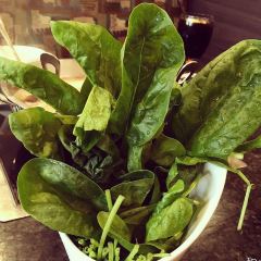 Happy Lamb Hot Pot, San Mateo 快乐小羊 User Photo