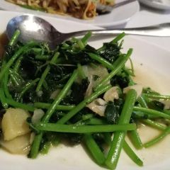 House of Memories User Photo