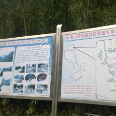 西天目林海农庄 User Photo