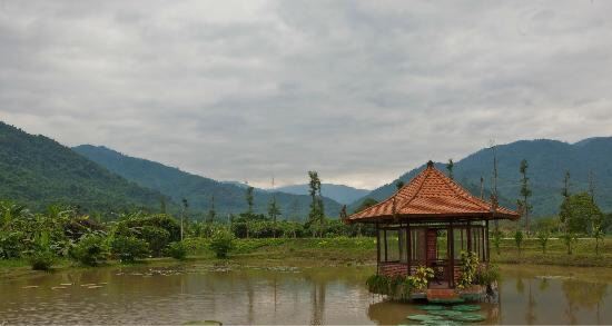 Yang Bay Eco Park