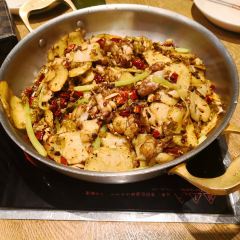 Yongwatian Chicken (longyanwanda) User Photo